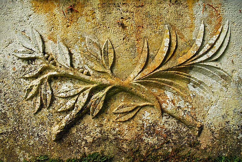 LA CROIX AU LOUP DE VIVEY, Vivey - photo 6