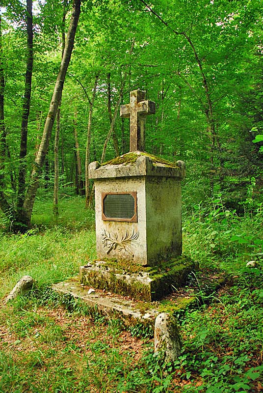LA CROIX AU LOUP DE VIVEY, Vivey - photo 7
