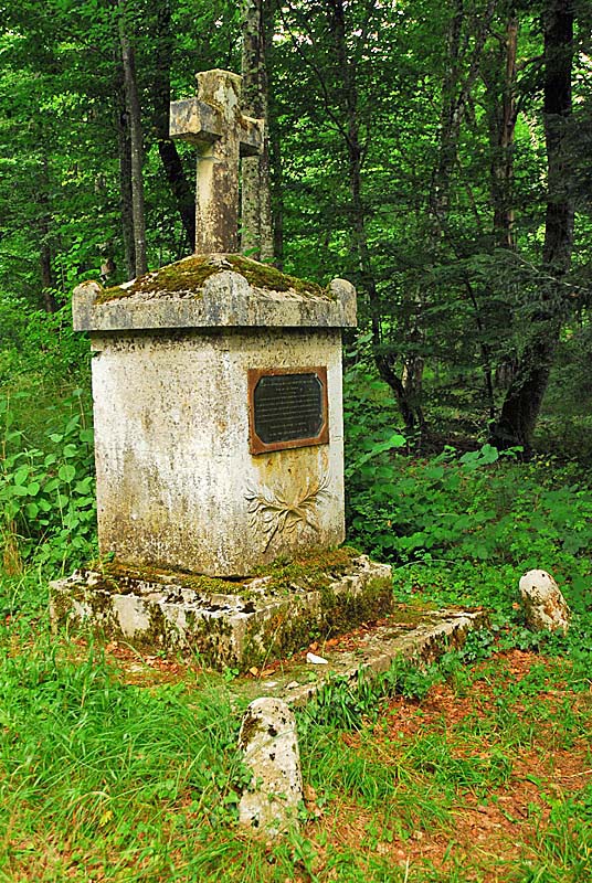 LA CROIX AU LOUP DE VIVEY, Vivey - photo 5