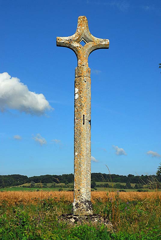 CROIX DE CHEMIN DE SAINT-BROINGT-LES-FOSSES, Saint-Broingt-les-Fosses - photo 3
