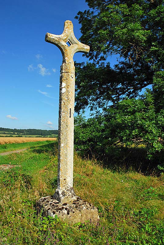 CROIX DE CHEMIN DE SAINT-BROINGT-LES-FOSSES, Saint-Broingt-les-Fosses - photo 4