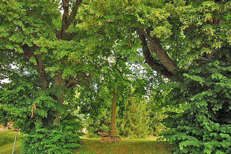 CROIX DE SAINT-BROINGT-LES-FOSSES
