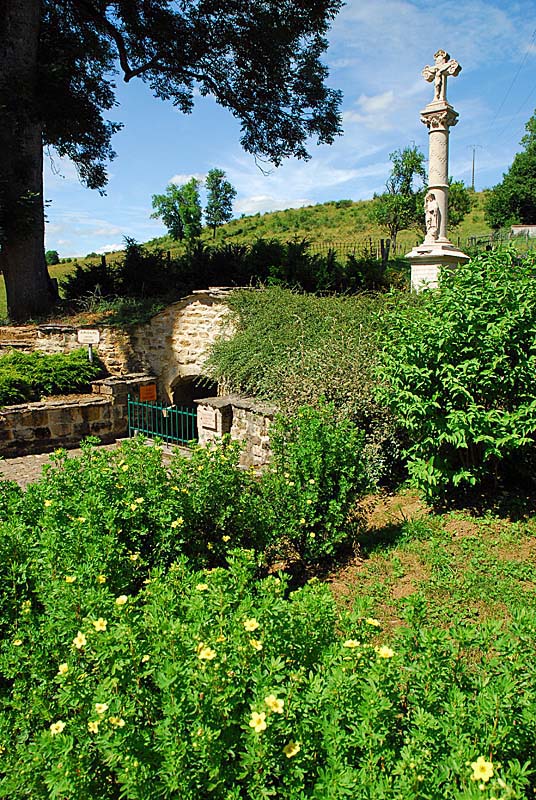 CROIX SAINT-DIDIER DE CHARMES, Charmes - photo 4