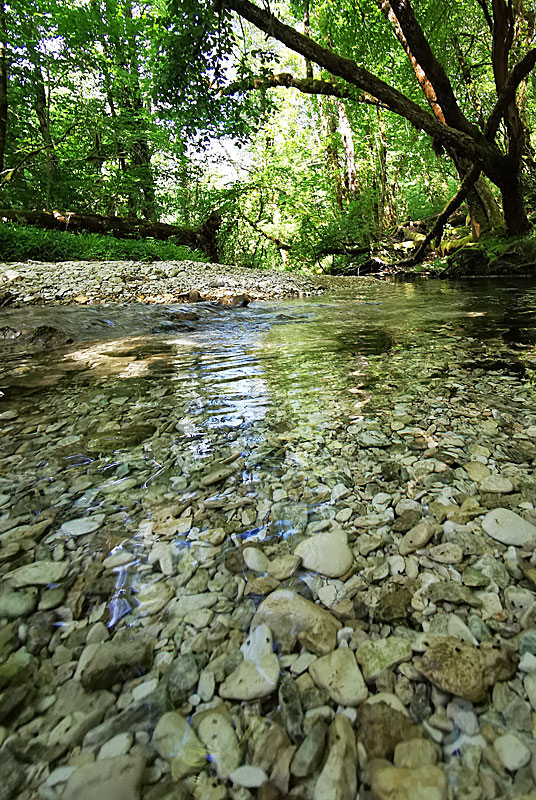 LE CUL DU CERF, Orquevaux - photo 2