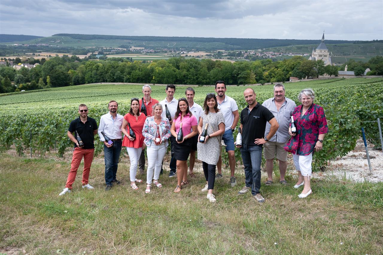 Dormans effervescences