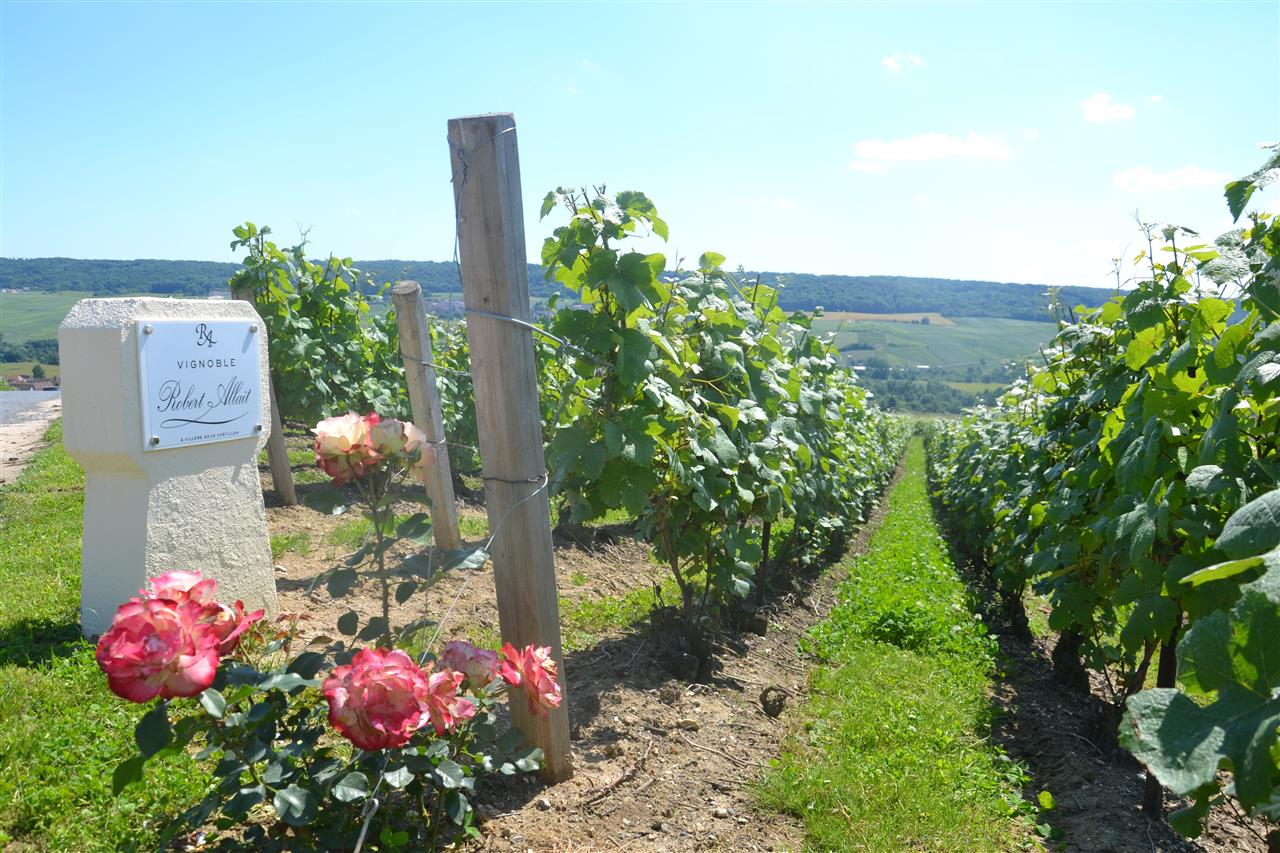 Champagne Robert Allait