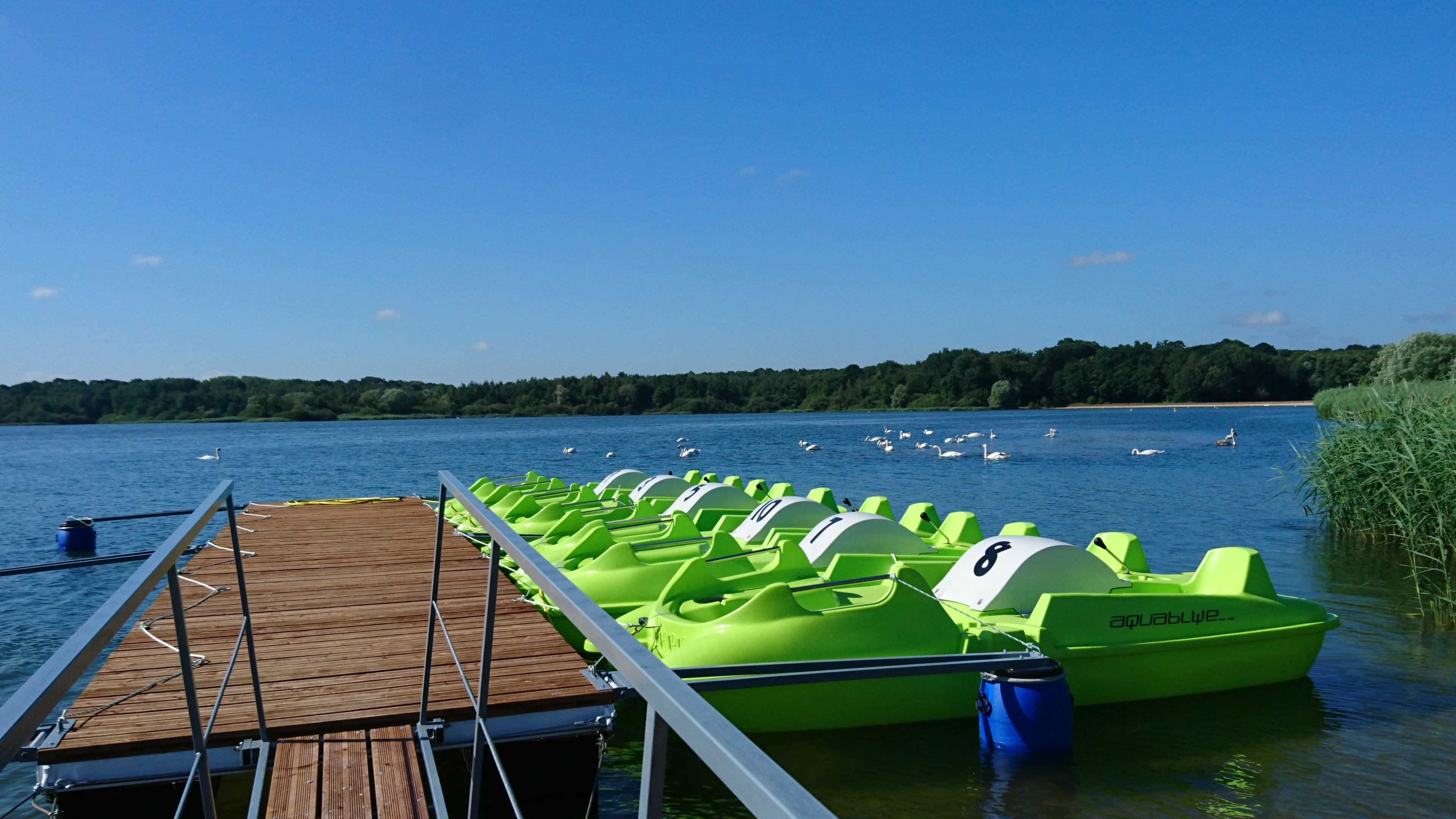 PLAYA REGAT'Ô - Location de pédalos, Giffaumont-Champaubert - photo 2