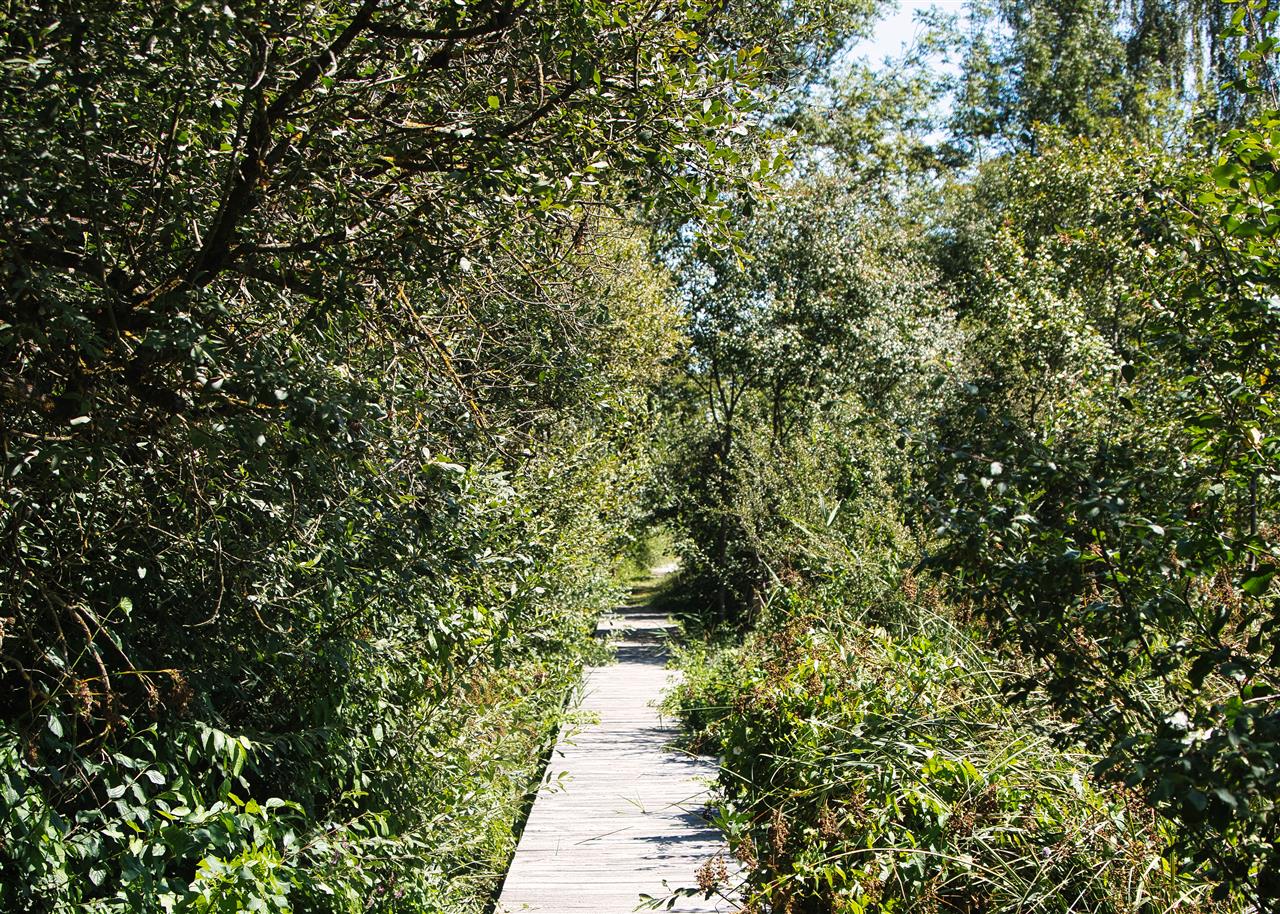 DSC_7738