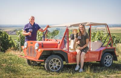 champagne-baron-dauvergne-bouzy-vignes