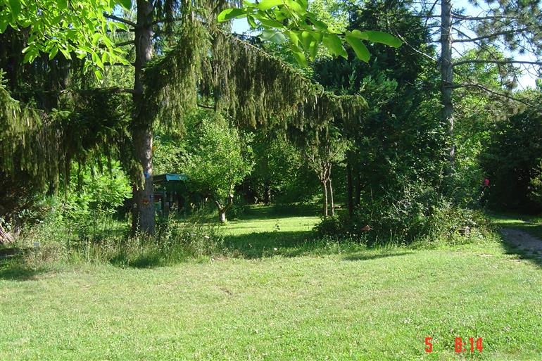 Jardin