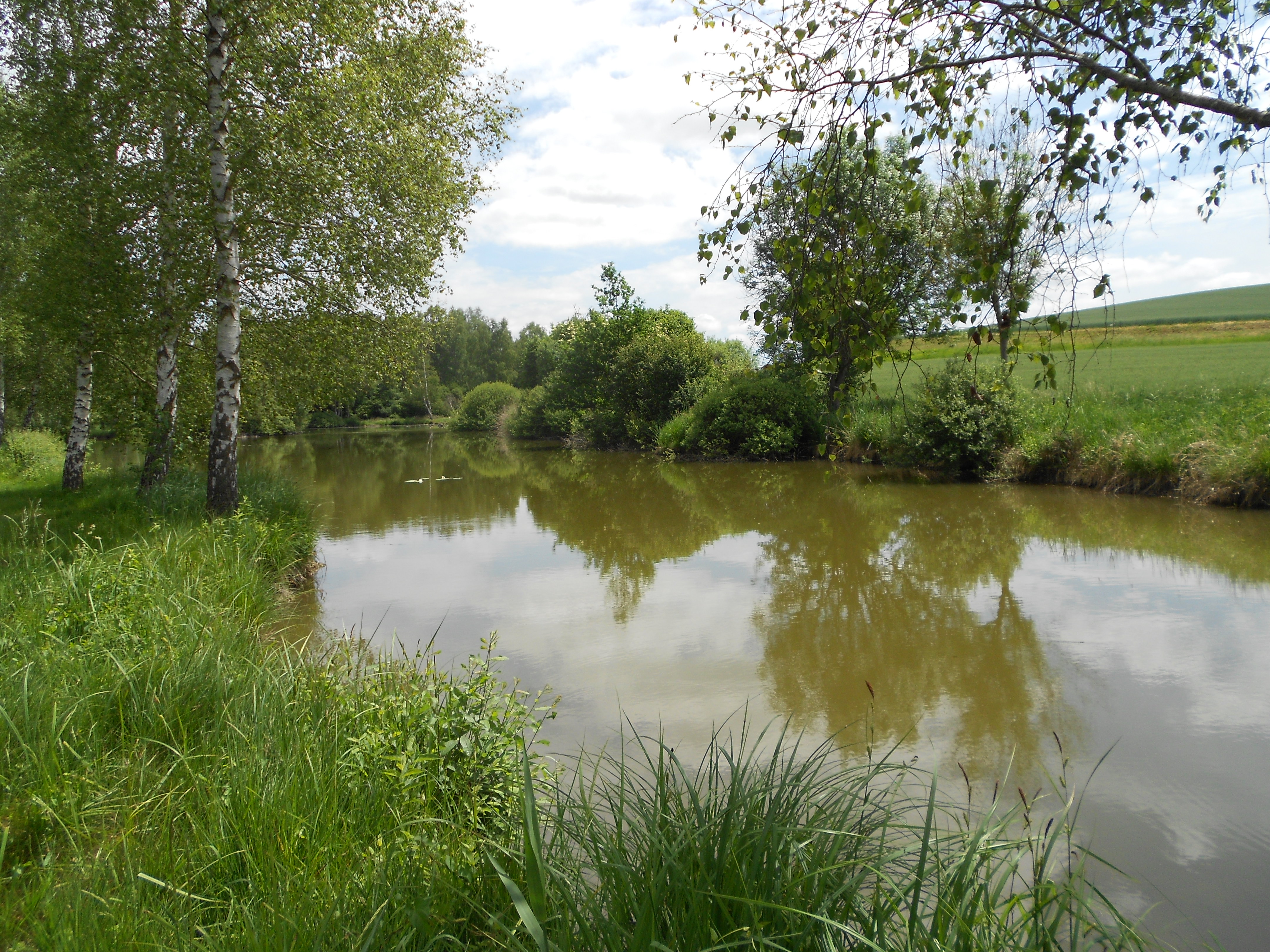 Saint-Gond Archéologie et Patrimoine