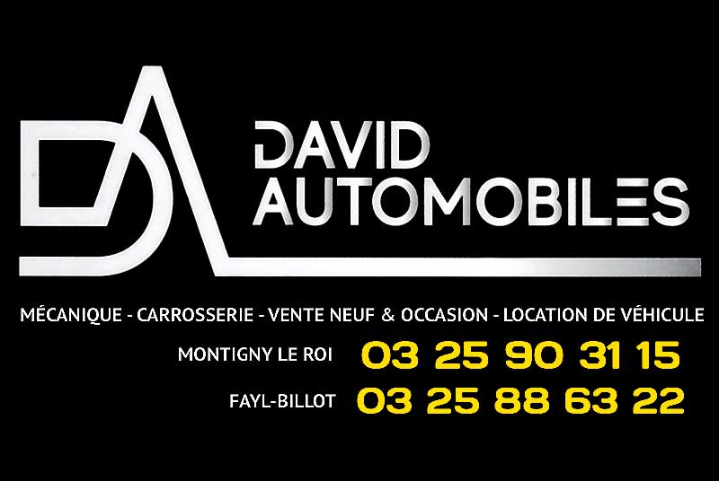 DAVID AUTOMOBILES - RENAUT/DACIAS MONTIGNY-LE-ROI