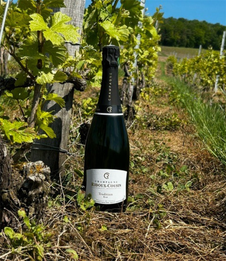 Design sans titre (4)