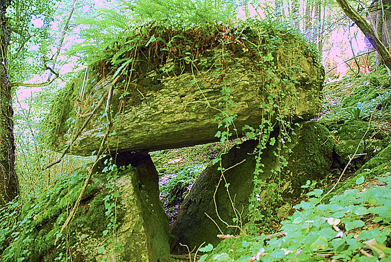 DOLMEN DE VILLIERS-LES-APREY, Villiers-lès-Aprey - photo 4