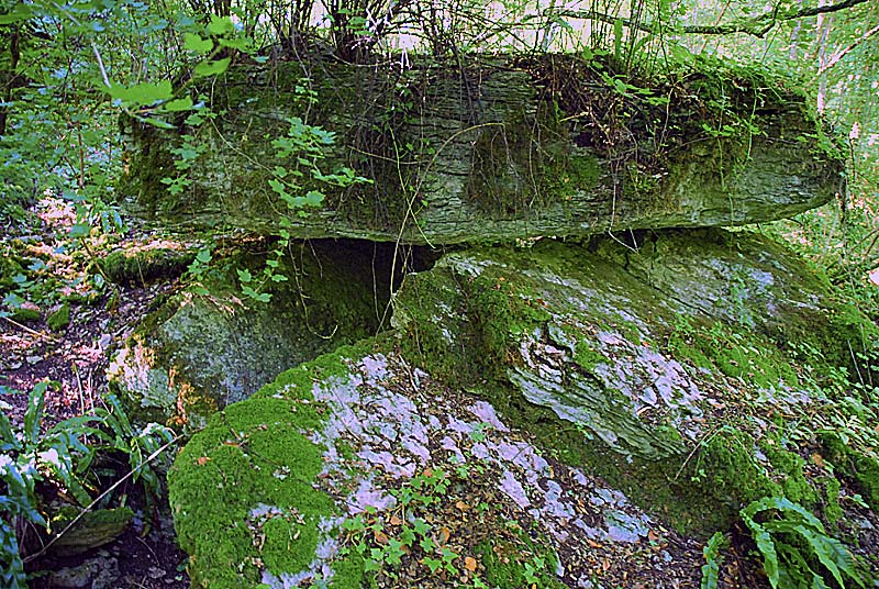 DOLMEN DE VILLIERS-LES-APREY, Villiers-lès-Aprey - photo 7