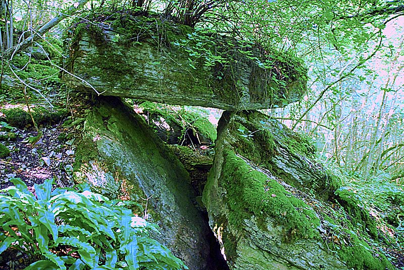 DOLMEN DE VILLIERS-LES-APREY, Villiers-lès-Aprey - photo 5