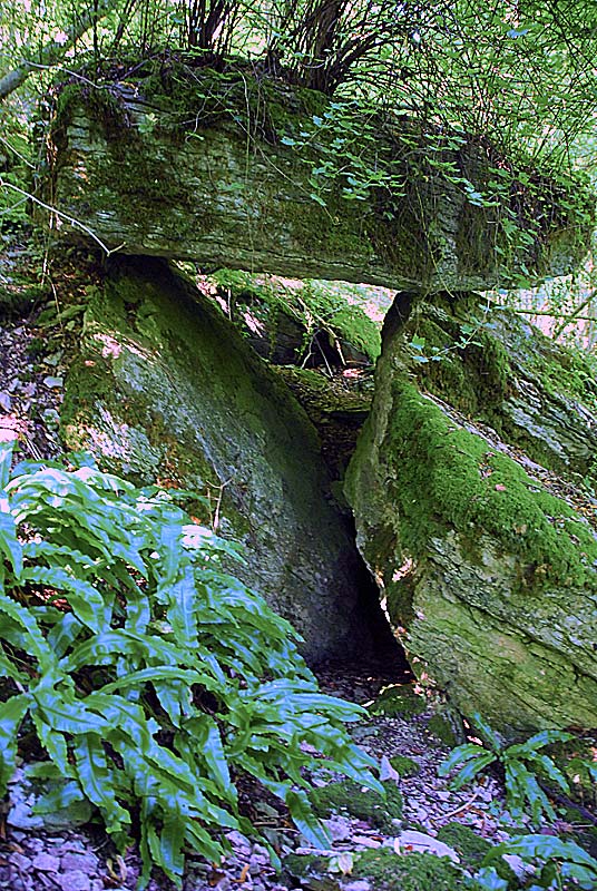 DOLMEN DE VILLIERS-LES-APREY, Villiers-lès-Aprey - photo 3