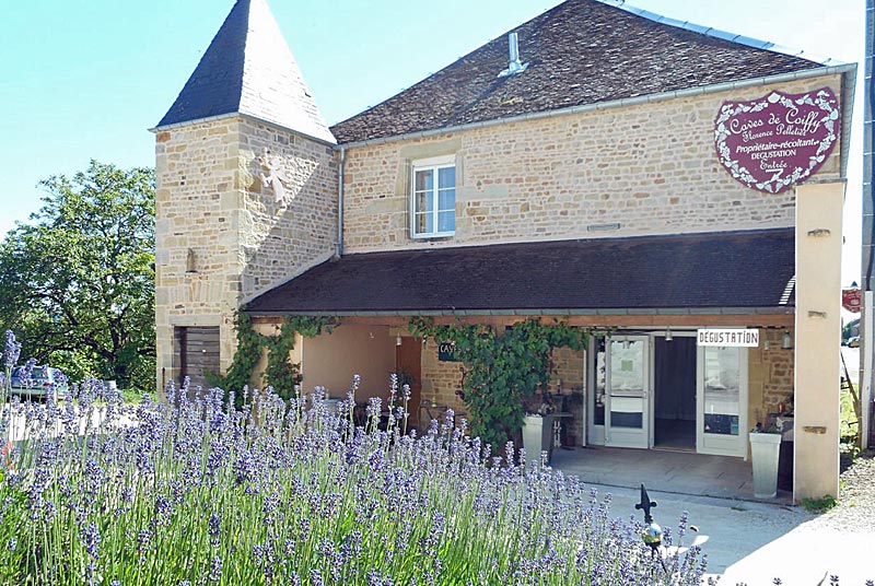 Domaine Florence Pelletier — photo 3