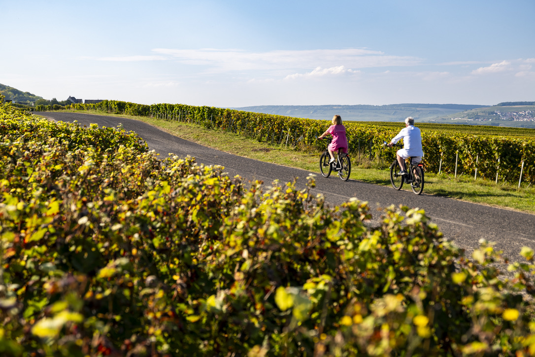 EB4D6FEF-AC40-4A37-A6EC-AF9E3F4E339B_1_105_c copie