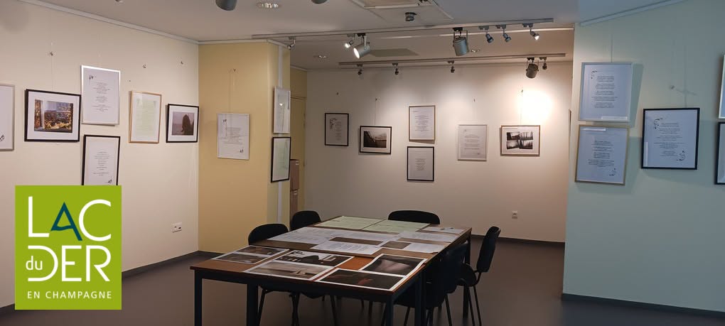 Exposition : "Je m'appelle Ellie, j'ai 17 ans ..."