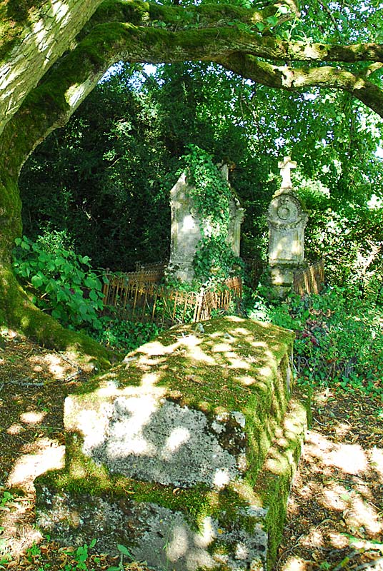Cimetière d'Aubigny-sur-Badin, Le Montsaugeonnais - photo 6