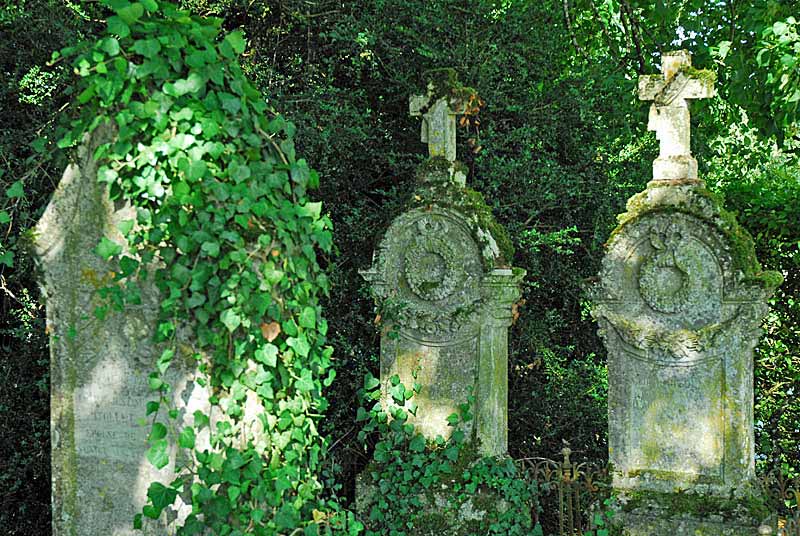 Cimetière d'Aubigny-sur-Badin, Le Montsaugeonnais - photo 2