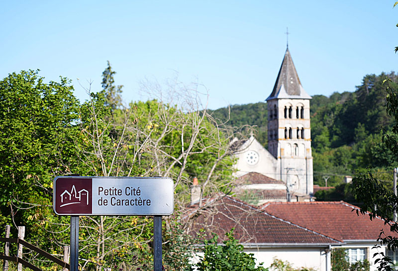 Eglise Saint-Etienne de Vignory, Vignory - photo 6