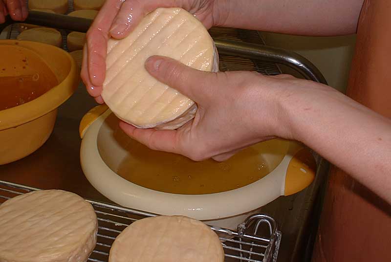 L'Epoisses — photo 2