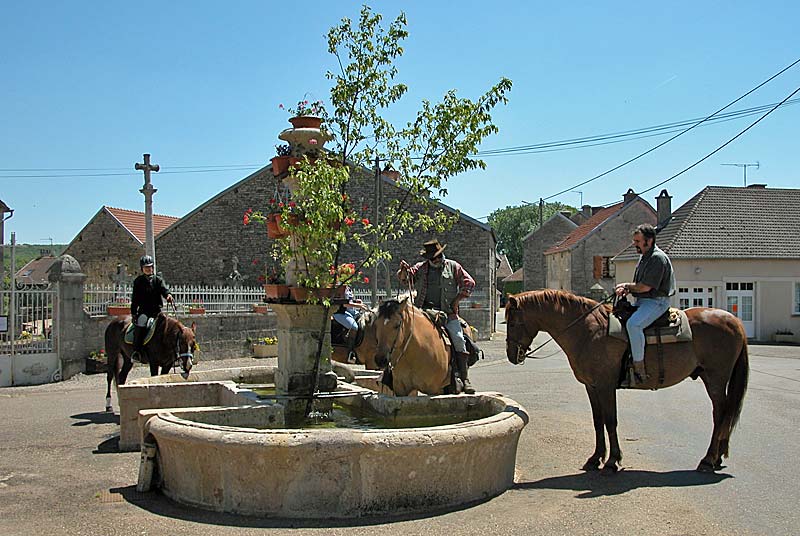 FONTAINE DE LA GODELAINE A CHATOILLENOT