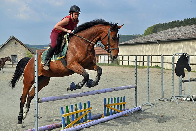 CENTRE EQUESTRE DU RELAIS DE LA VALLEE DE L'OURCE EARL DU MONTROYER
