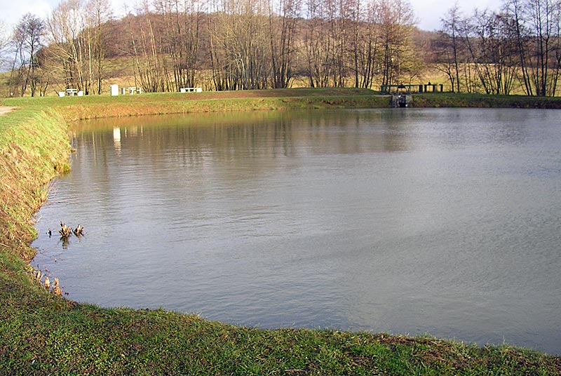 PECHE A L'ETANG DES PETITS PRES A CULMONT