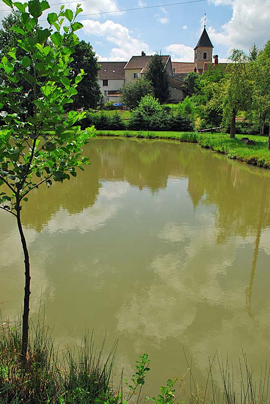 PECHE A L'ETANG DE GRANDCHAMP, Grandchamp - photo 3