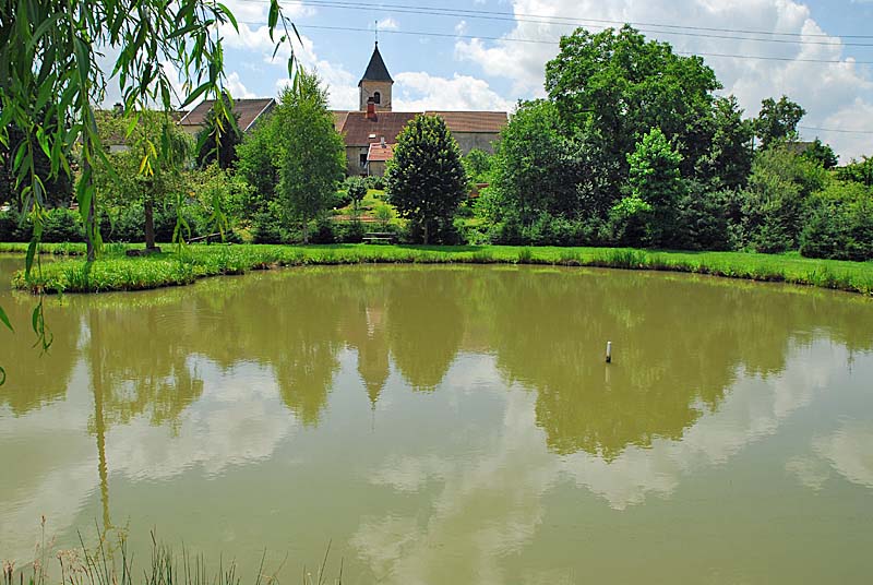 PECHE A L'ETANG DE GRANDCHAMP