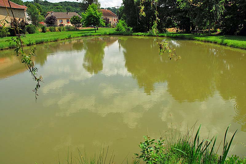 PECHE A L'ETANG DE GRANDCHAMP, Grandchamp - photo 2