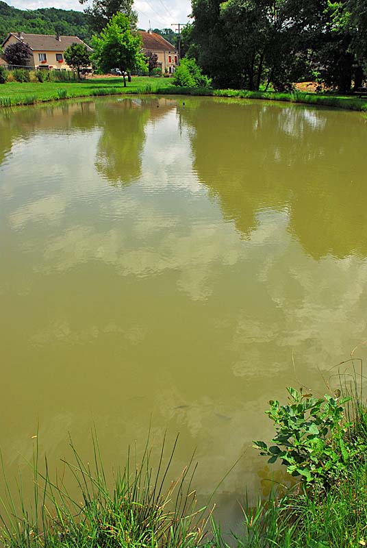 PECHE A L'ETANG DE GRANDCHAMP, Grandchamp - photo 4