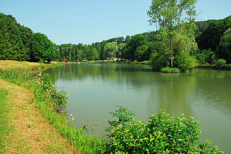 PECHE A L'ETANG DE LA JUCHERE