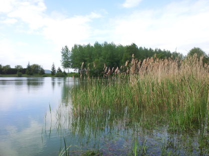 Etang des chantereines