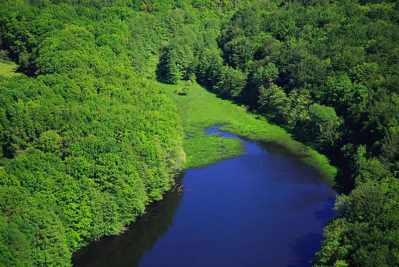 PECHE A L'ETANG DE MORIMOND, Parnoy-en-Bassigny - photo 3