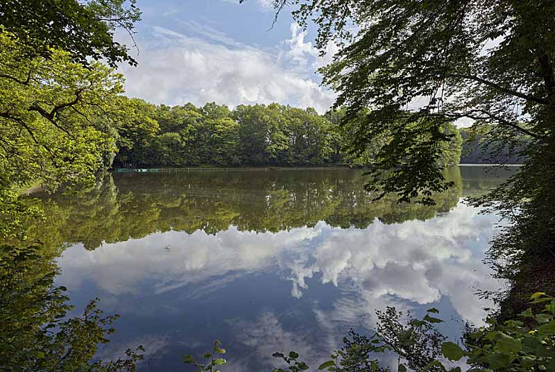 PECHE A L'ETANG DE MORIMOND