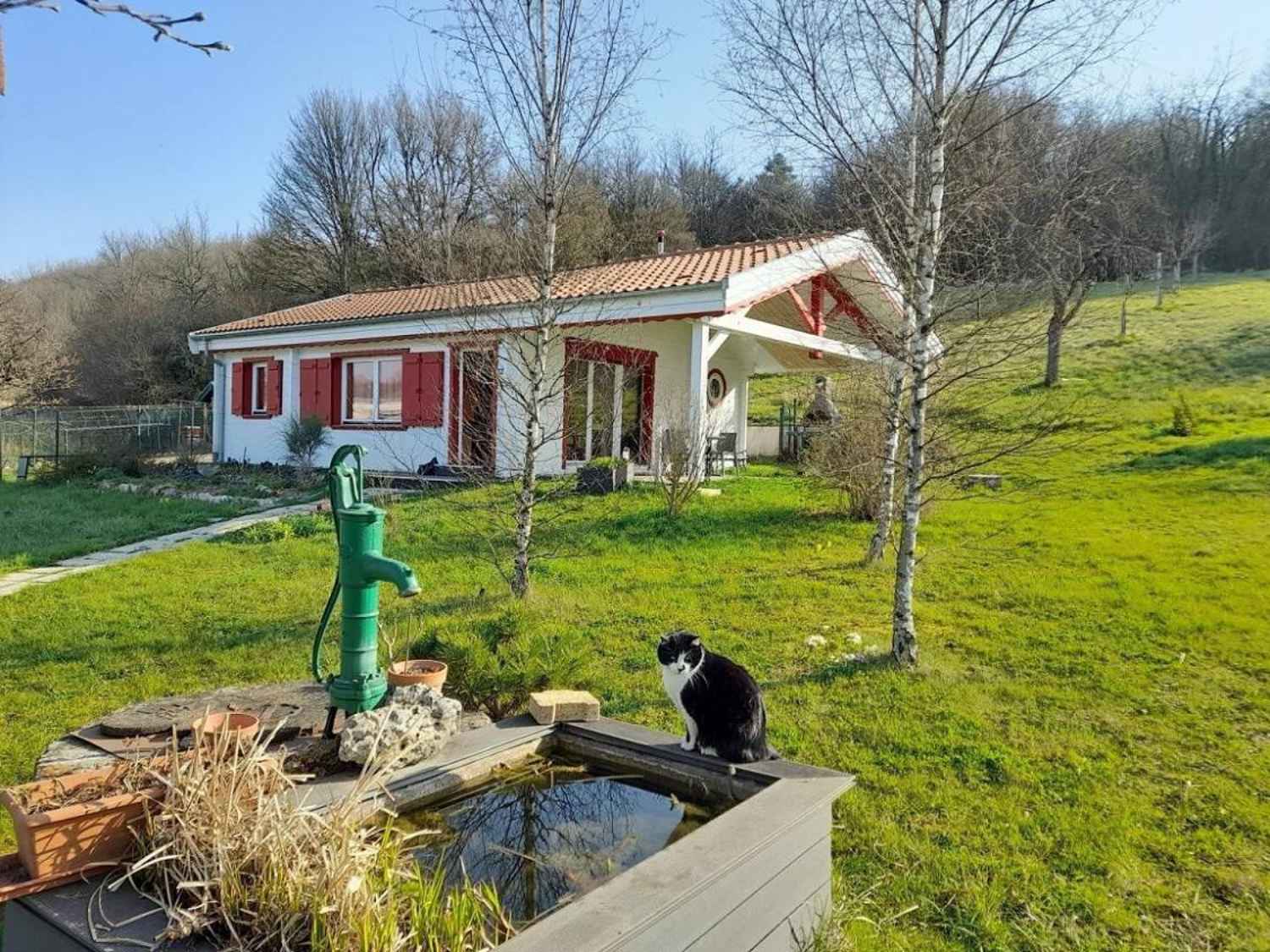 L'ETOILE VERTE