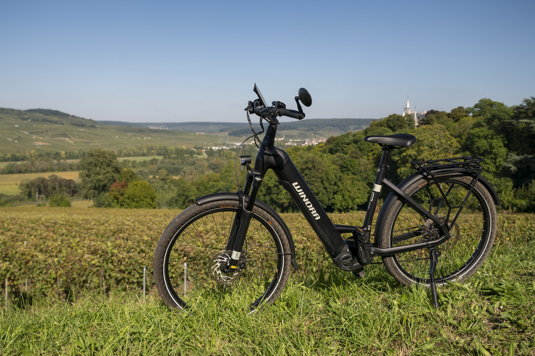 F8FD25A9-AF3F-49BA-8A14-671167FC89BB_1_105_c copie