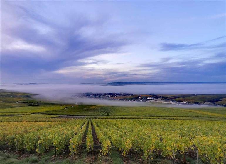 FB_IMG_1571744363180