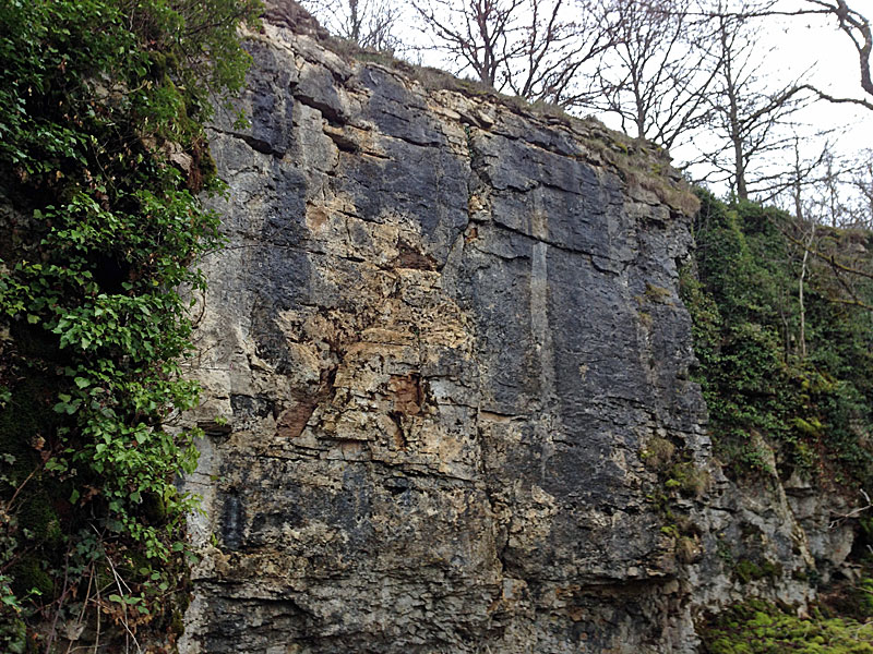 ESCALADE A LA FALAISE DE PERRANCEY