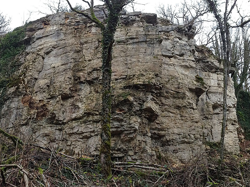 ESCALADE A LA FALAISE DE PERRANCEY, Perrancey-les-Vieux-Moulins - photo 2