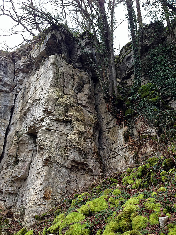 ESCALADE A LA FALAISE DE PERRANCEY, Perrancey-les-Vieux-Moulins - photo 3