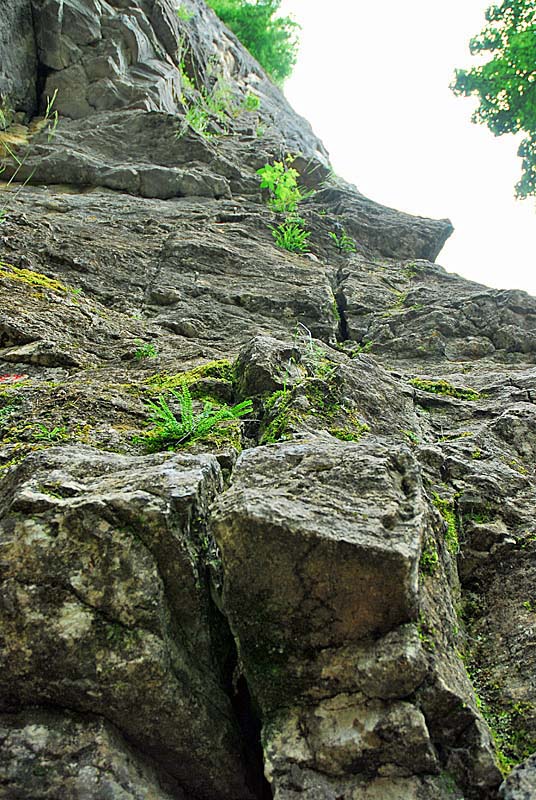 FALAISES DE COHONS, Cohons - photo 3