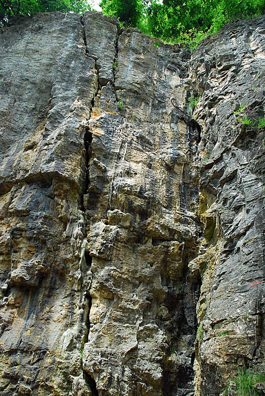 FALAISES DE COHONS, Cohons - photo 12