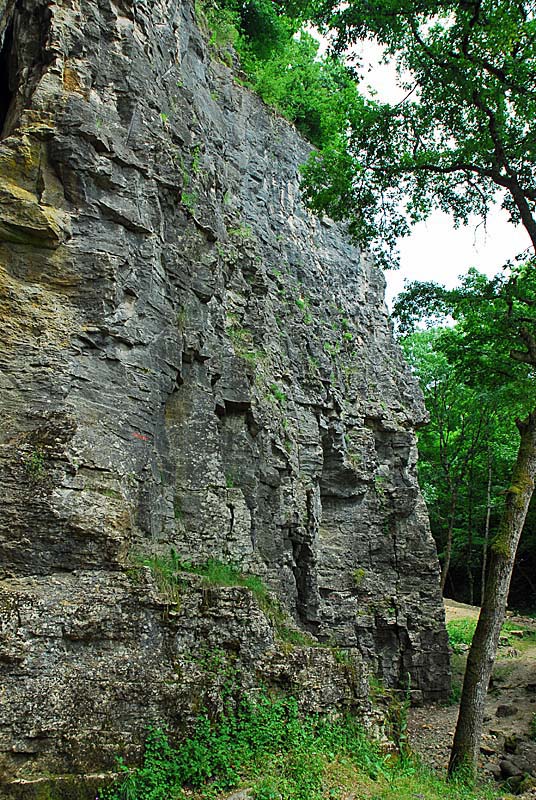 FALAISES DE COHONS, Cohons - photo 7