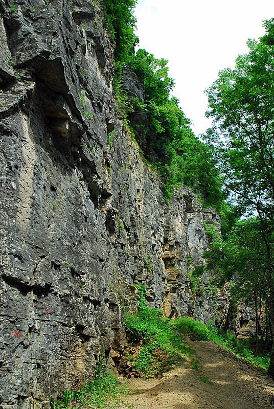 FALAISES DE COHONS, Cohons - photo 11