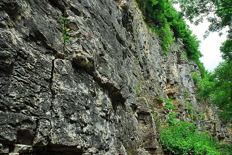 FALAISES DE COHONS, Cohons